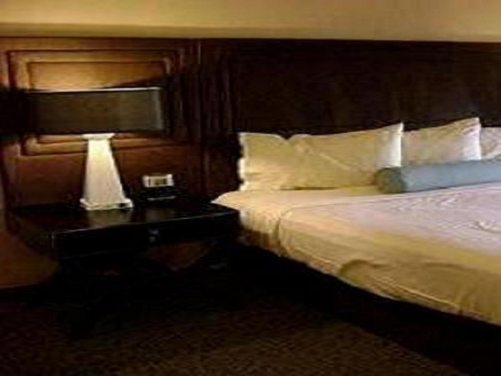 Hotel Sagar Castle Ratlam Room photo